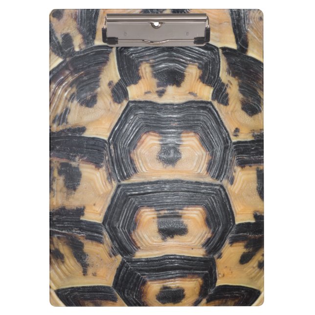 Tortoise shell clipboard (Front)