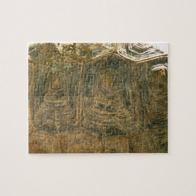 Tortoise Shell Nature Photo Jigsaw Puzzle (Horizontal)