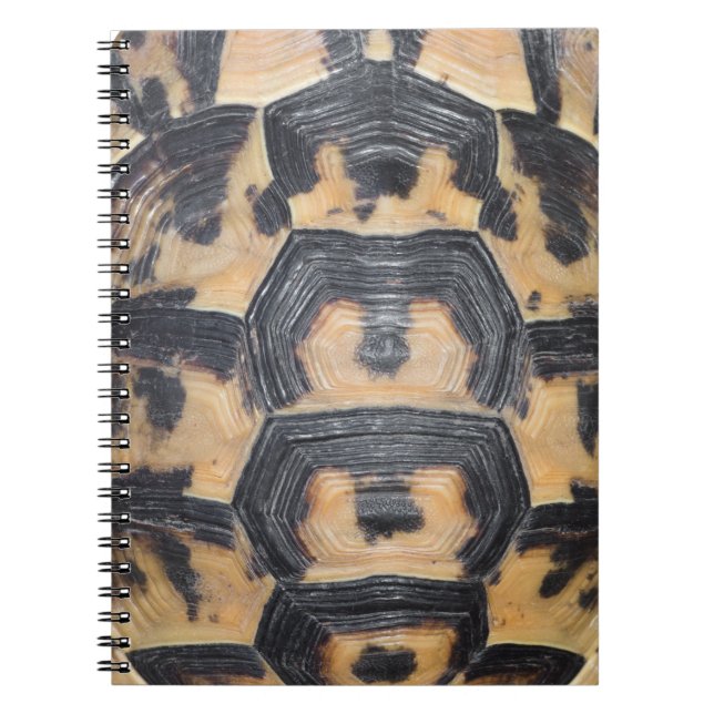 Tortoise shell notebook (Front)