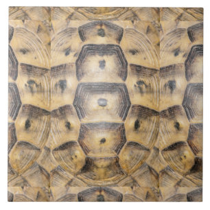 Tortoise shell pattern ceramic tile
