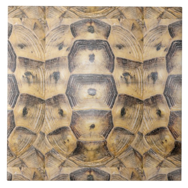 Tortoise shell pattern ceramic tile (Front)