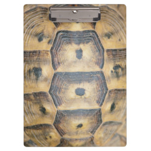 Tortoise Shell Pattern Clipboard