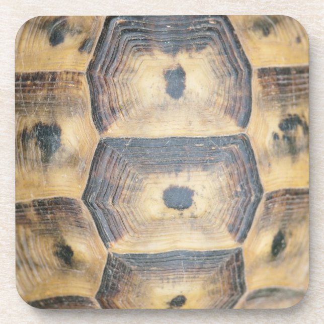 Tortoise Shell Pattern Coaster (Front)