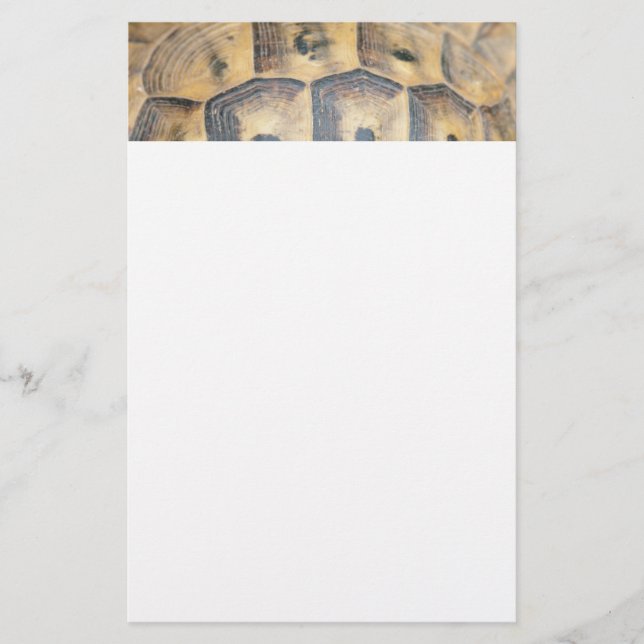 Tortoise Shell Pattern Stationery (Front)