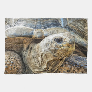 TORTOISE TEA TOWEL