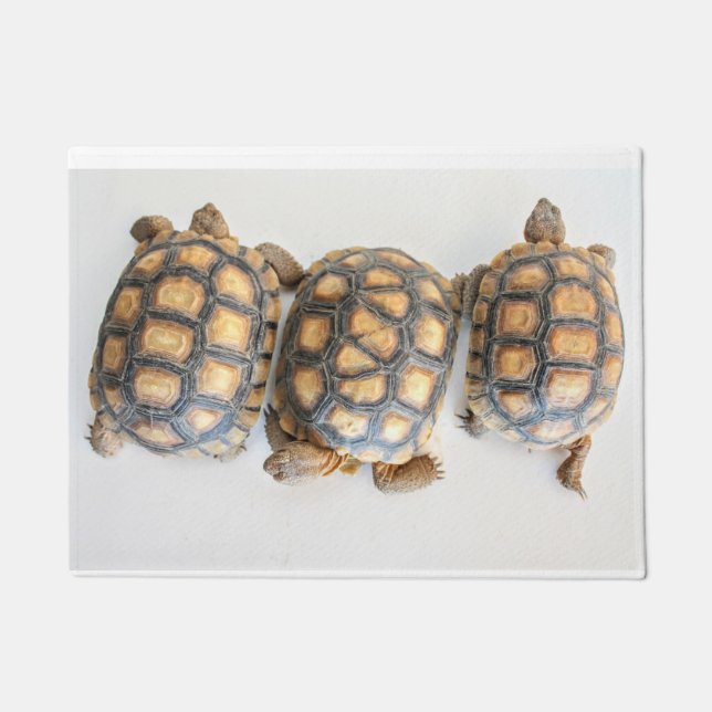 Tortoise Trio doormat (Front)