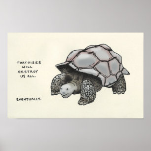 tortoise trivia poster