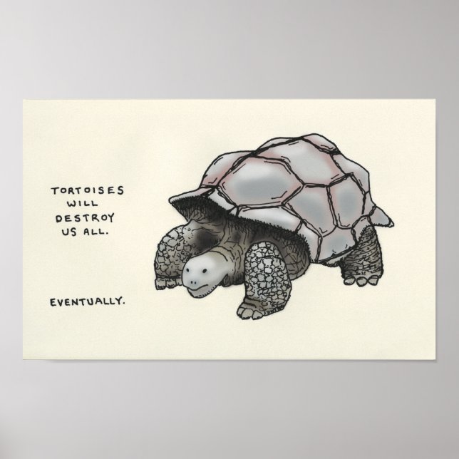 tortoise trivia poster (Front)