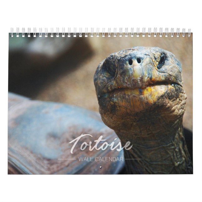 Tortoise Wall Calendar (Cover)