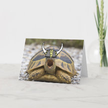 Tortoise with a Viking Hat Blank Inside Greeting
