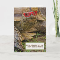 tortoise with sunglasses for retirement