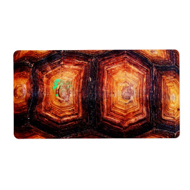 Tortoiseshell (Front)