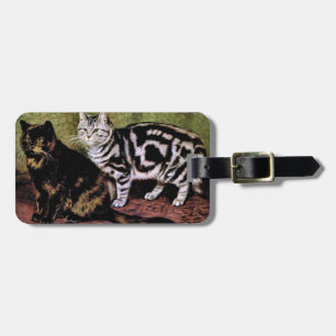 Tortoiseshell and Silver Tabby Cats Luggage Tag