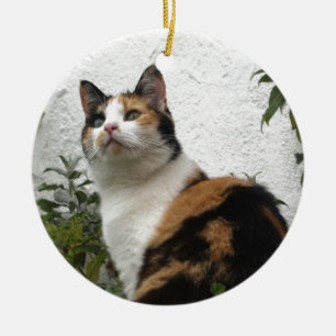 Tortoiseshell and White Cat Ceramic Tree Decoration