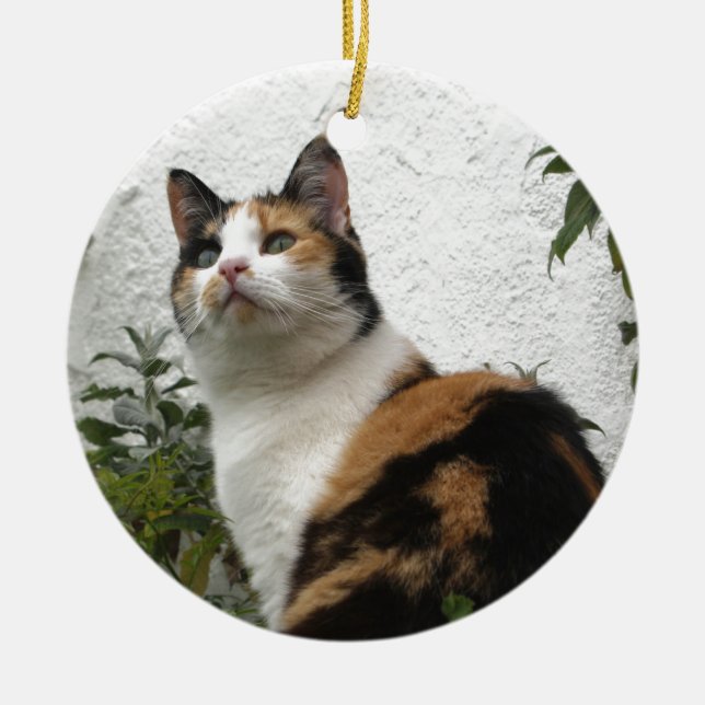 Tortoiseshell and White Cat Ceramic Tree Decoration (Front)