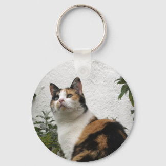 Tortoiseshell and White Cat Key Ring