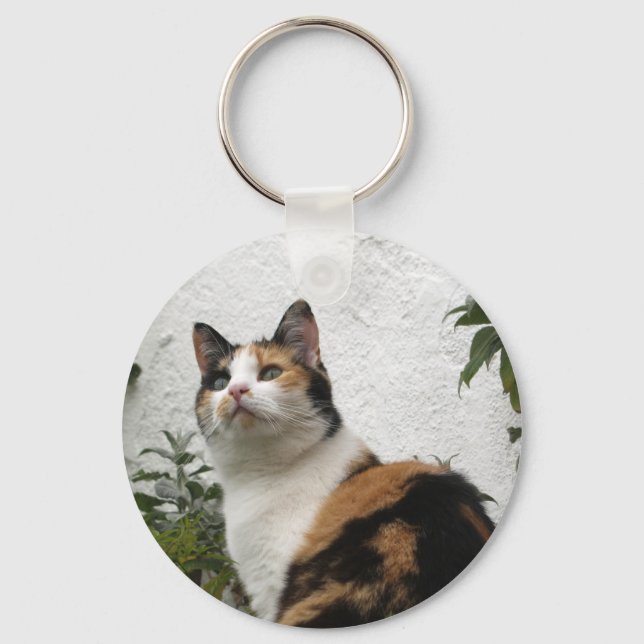 Tortoiseshell and White Cat Key Ring (Front)