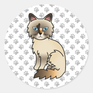 Tortoiseshell Birman / Ragdoll Cute Cat & Paws Classic Round Sticker