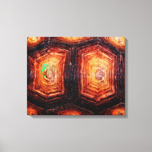 Tortoiseshell Canvas Print (Front)