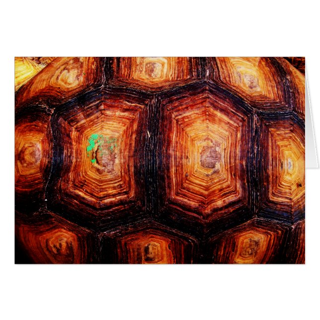 Tortoiseshell Card (Front Horizontal)