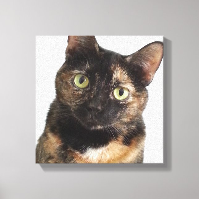 Tortoiseshell Cat Canvas Print (Front)