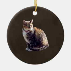 Tortoiseshell Cat Ceramic Ornament
