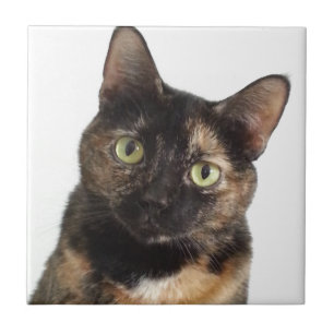 Tortoiseshell Cat Ceramic Tile