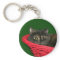 Tortoiseshell cat Christmas