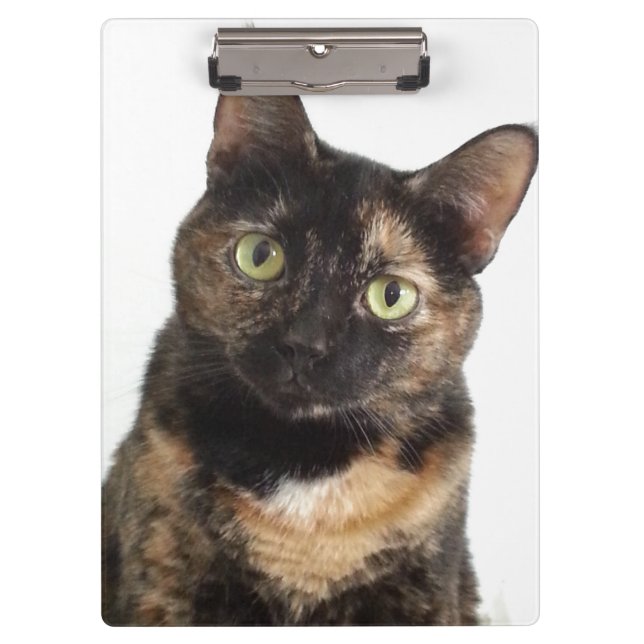 Tortoiseshell Cat Clipboard (Front)