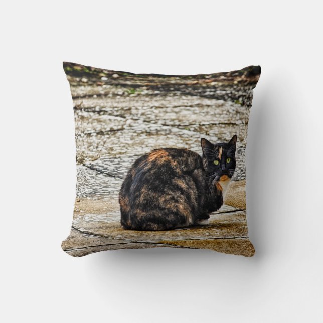 Tortoiseshell Cat Cushion (Front)