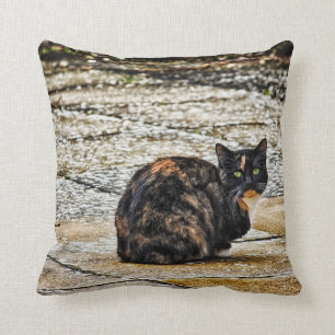 Tortoiseshell Cat Cushion