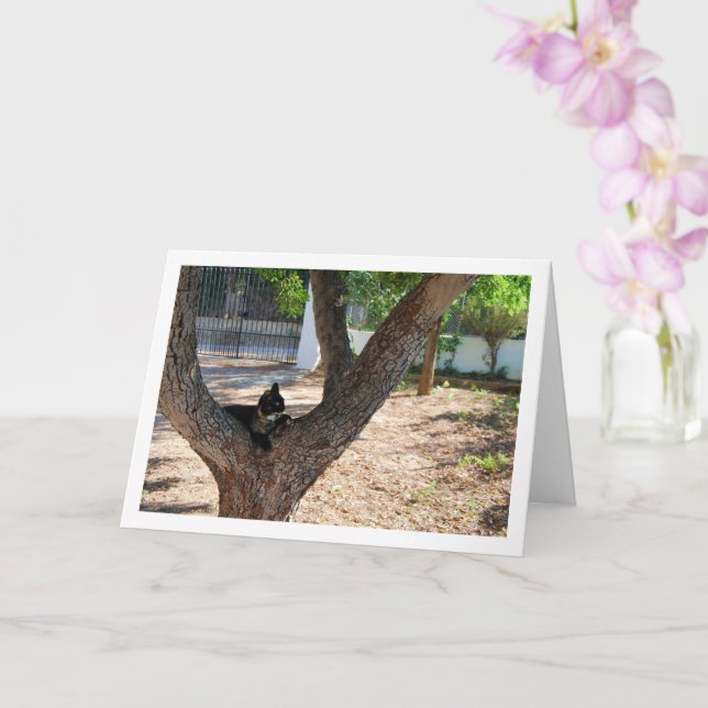 Tortoiseshell Cat in Tree Card (Orchid)