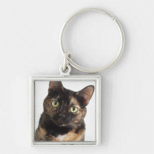 Tortoiseshell Cat Key Ring