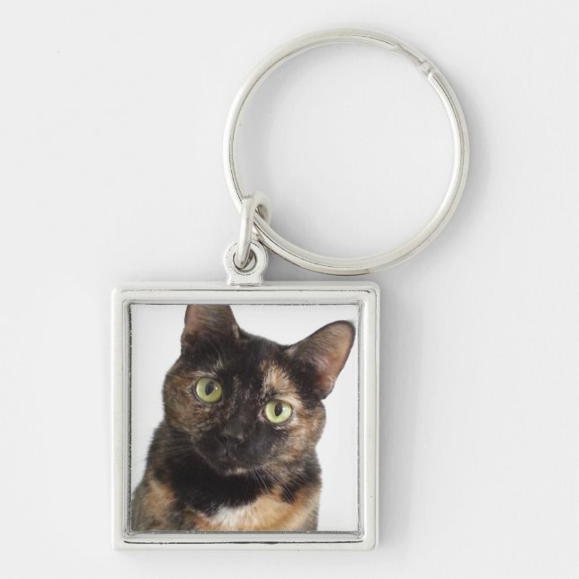 Tortoiseshell Cat Key Ring (Front)