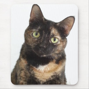 Tortoiseshell Cat Mouse Pad