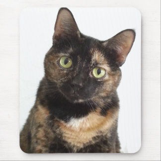Tortoiseshell Cat Mouse Pad