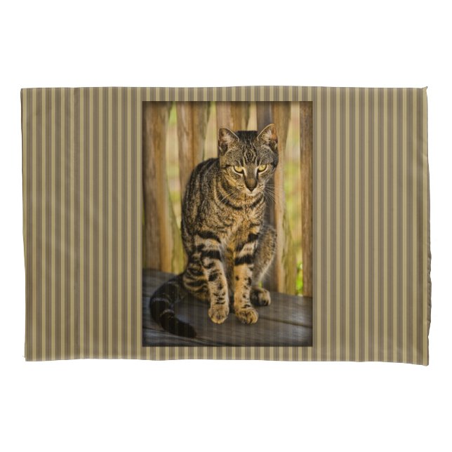 Tortoiseshell Cat Portrait, Closeup Animal Photo Pillowcase (Front)