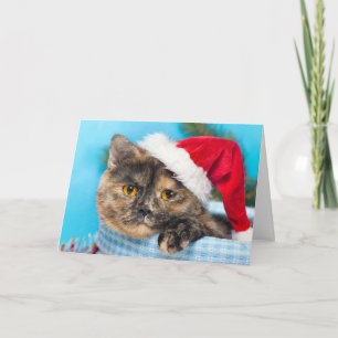 Tortoiseshell Cat Purr-fect Holiday Season Card