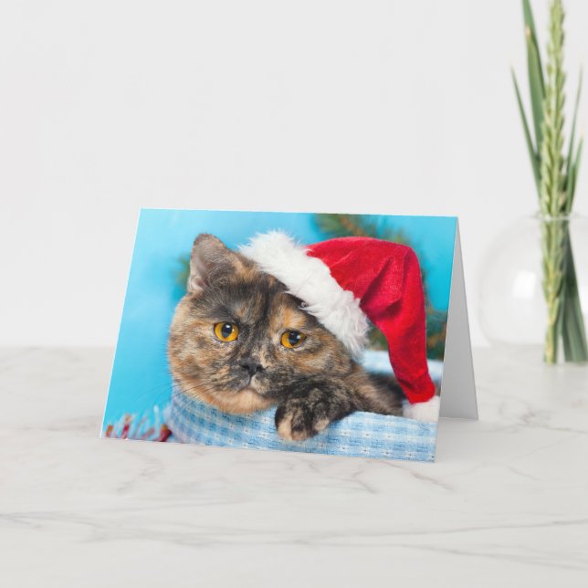 Tortoiseshell Cat Purr-fect Holiday Season Card (Front)