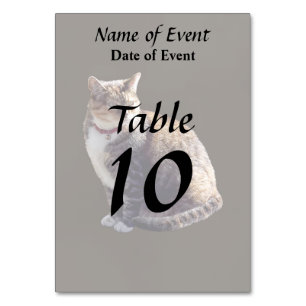 Tortoiseshell Cat Table Number