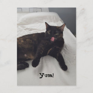 Tortoiseshell Cat Tongue Licking Yum Postcards