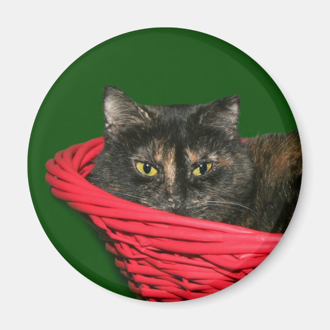 Tortoiseshell Christmas Magnet (Front)