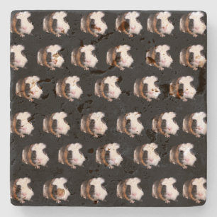 Tortoiseshell Guinea Pigs, Stone Coaster