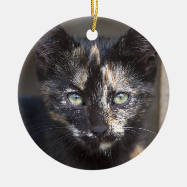 Tortoiseshell Kitten Ceramic Ornament (Front)