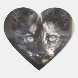 Tortoiseshell Kitten Heart Sticker