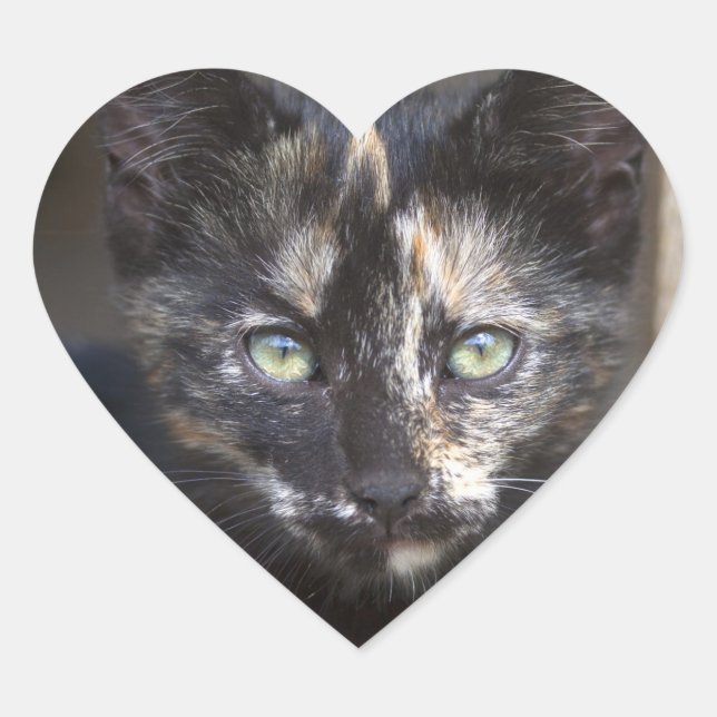 Tortoiseshell Kitten Heart Sticker (Front)