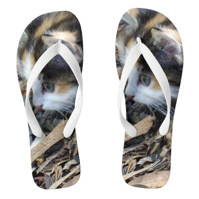 Tortoiseshell Kitten Watching Bugs, Thongs (Footbed)