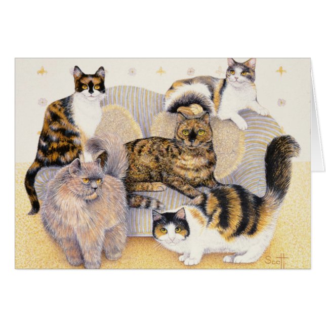 Tortoiseshell ladies (Front Horizontal)