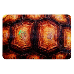 Tortoiseshell Magnet