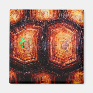 Tortoiseshell Magnet